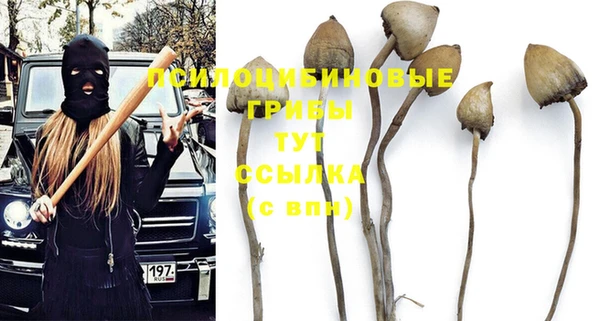 гашик Абинск