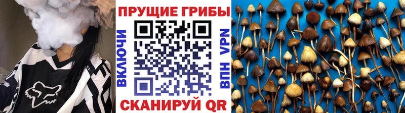 Псилоцибиновые грибы Cubensis  Ханты-Мансийск 