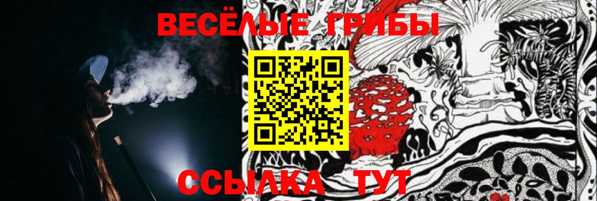 Псилоцибиновые грибы Psilocybe  Вход с VPN  Ханты-Мансийск 